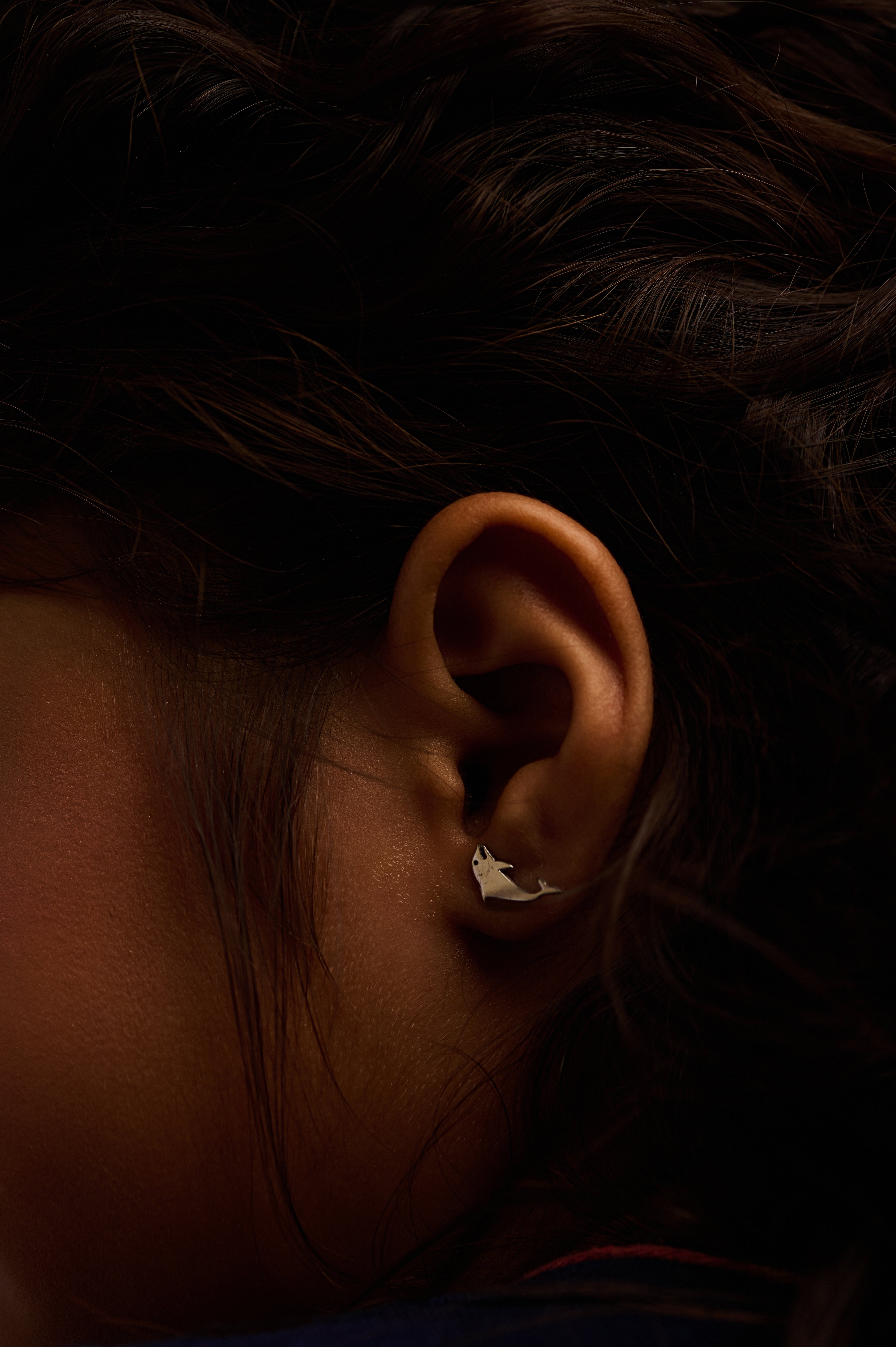 Sterling Silver Earring